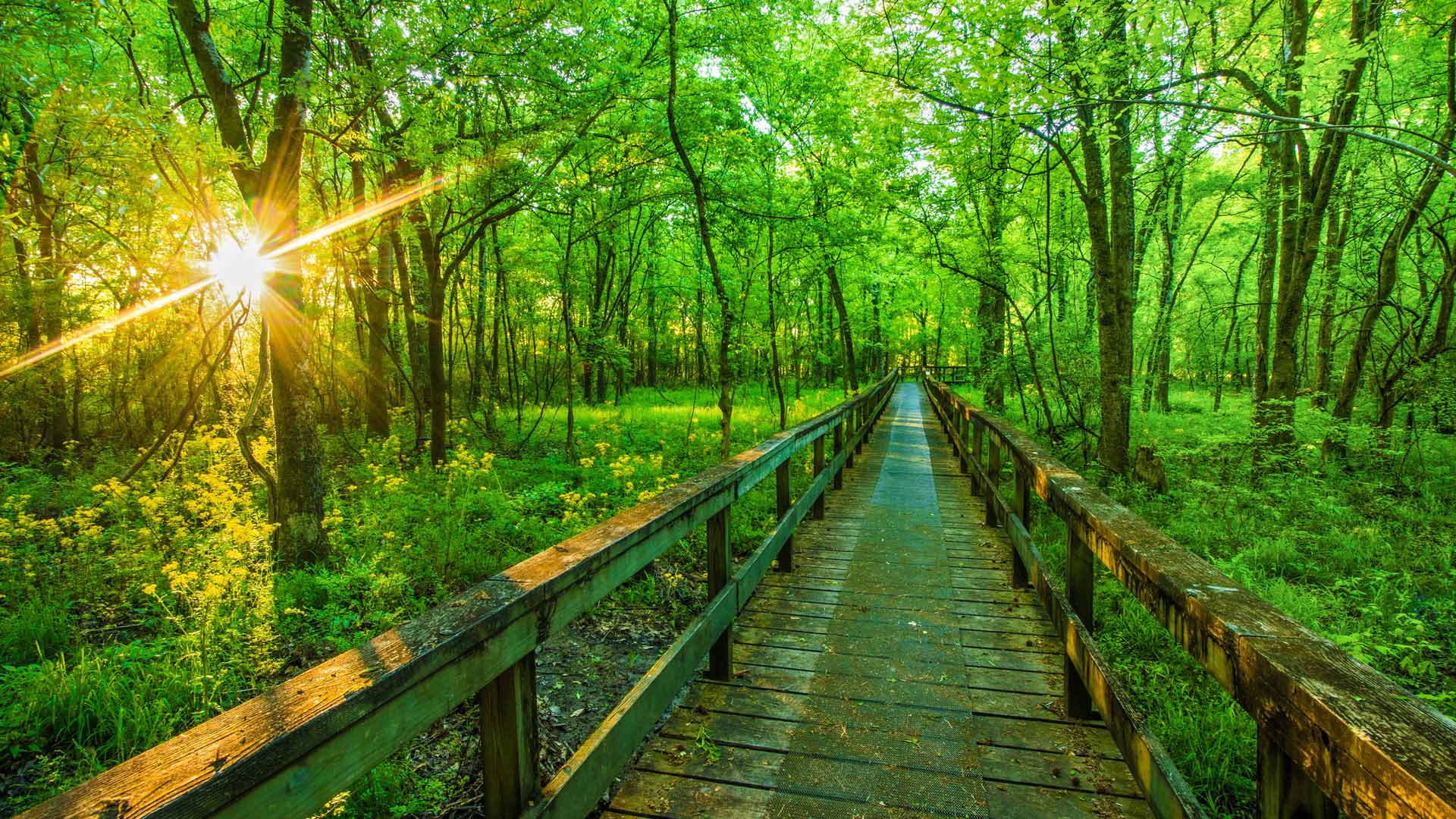 闭上你的深邃双眼。那里夜色飘散